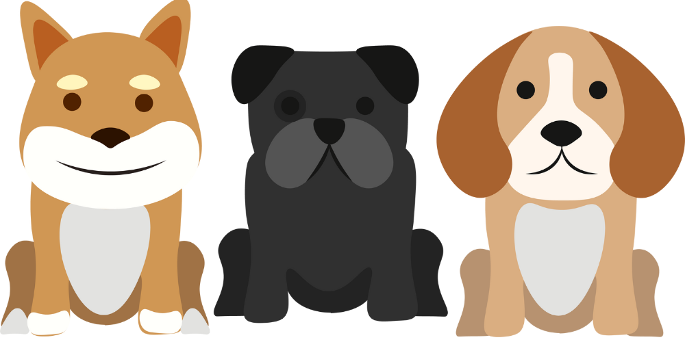 Bett für Hunde - Wuppertal